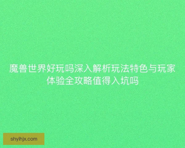 魔兽世界好玩吗深入解析玩法特色与玩家体验全攻略值得入坑吗
